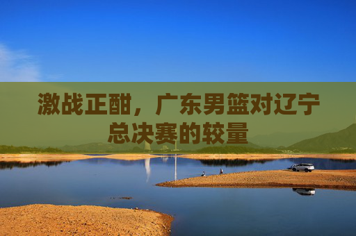 激战正酣，广东男篮对辽宁总决赛的较量