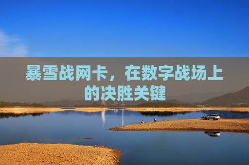暴雪战网卡，在数字战场上的决胜关键