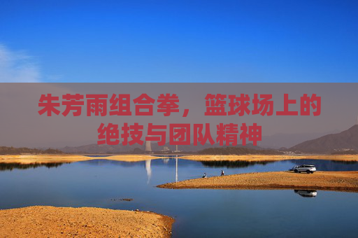 朱芳雨组合拳，篮球场上的绝技与团队精神
