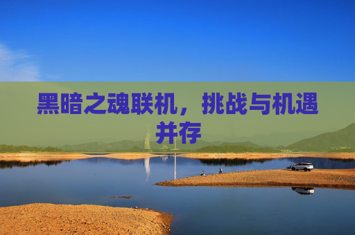 黑暗之魂联机，挑战与机遇并存