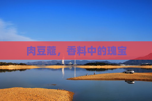 肉豆蔻，香料中的瑰宝