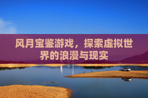 风月宝鉴游戏，探索虚拟世界的浪漫与现实