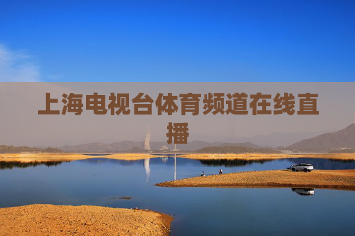 上海电视台体育频道在线直播