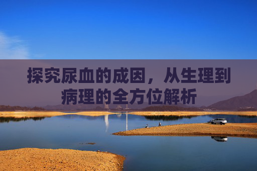 探究尿血的成因，从生理到病理的全方位解析