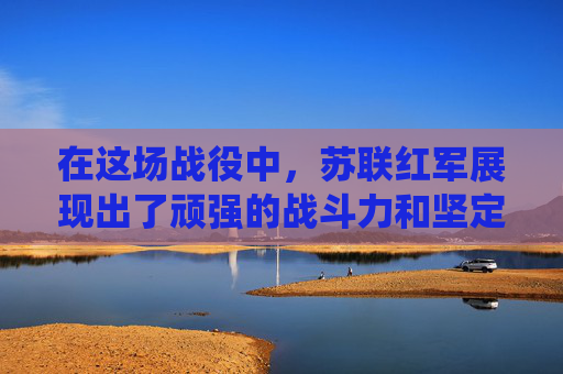 在这场战役中，苏联红军展现出了顽强的战斗力和坚定的信念。他们面对强大的德军，毫不畏惧，勇敢地冲锋陷阵。同时，苏联政府也采取了各种措施，如加强后勤保障、提高士兵士气等，以支持前线的战斗
