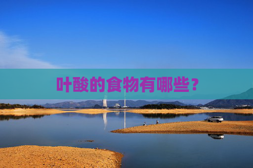 叶酸的食物有哪些？