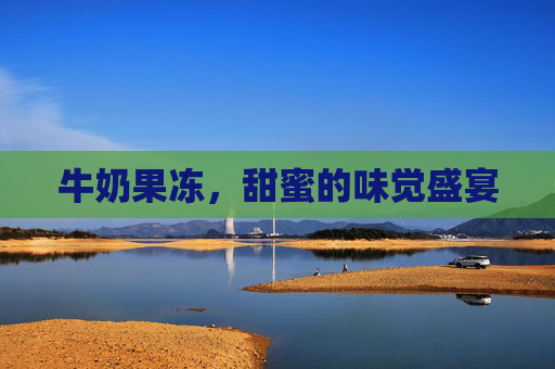 牛奶果冻，甜蜜的味觉盛宴