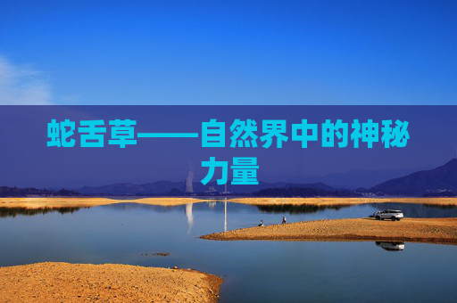 蛇舌草——自然界中的神秘力量