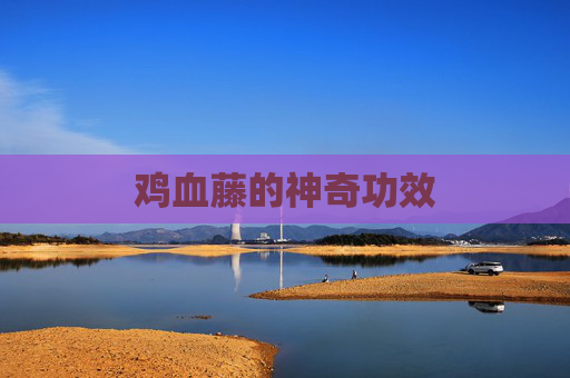 鸡血藤的神奇功效