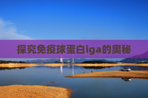 探究免疫球蛋白iga的奥秘