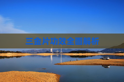 三金片功效全面解析