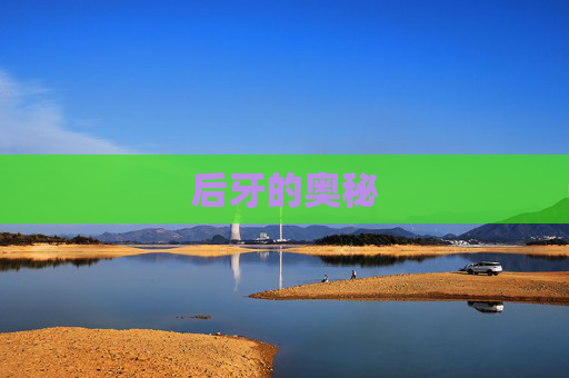 后牙的奥秘