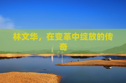林文华，在变革中绽放的传奇