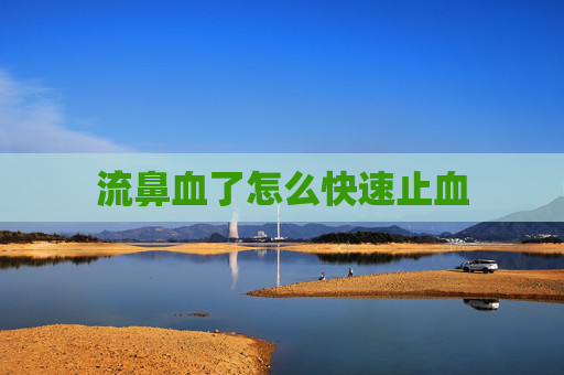 流鼻血了怎么快速止血