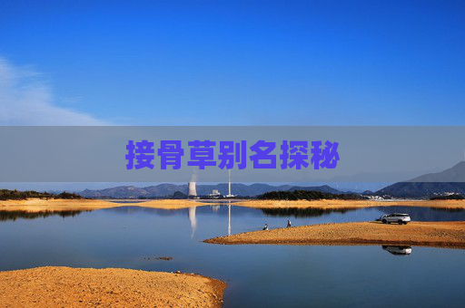 接骨草别名探秘