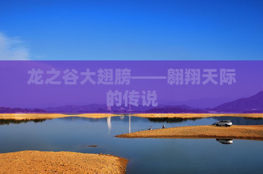 龙之谷大翅膀——翱翔天际的传说