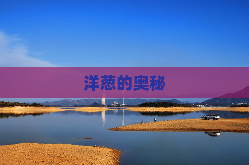 洋葱的奥秘 洋葱的奥秘