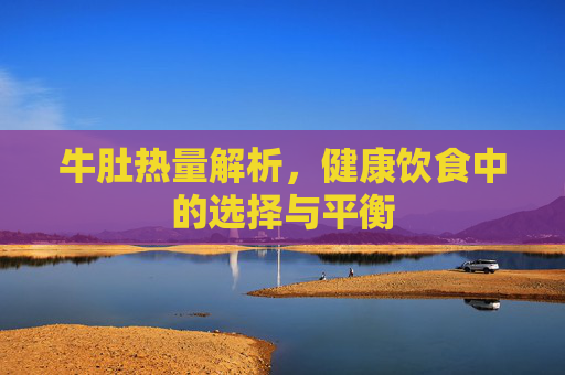 牛肚热量解析，健康饮食中的选择与平衡