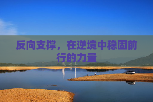 反向支撑，在逆境中稳固前行的力量