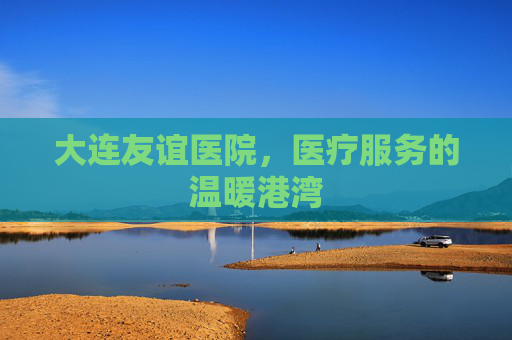 大连友谊医院，医疗服务的温暖港湾