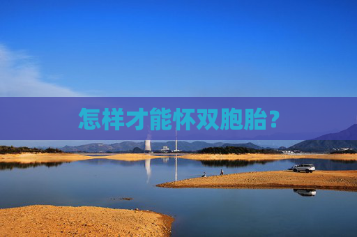 怎样才能怀双胞胎？