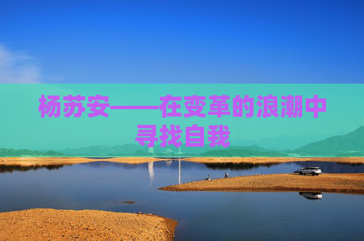 杨苏安——在变革的浪潮中寻找自我 杨苏安——在变革的浪潮中寻找自我
