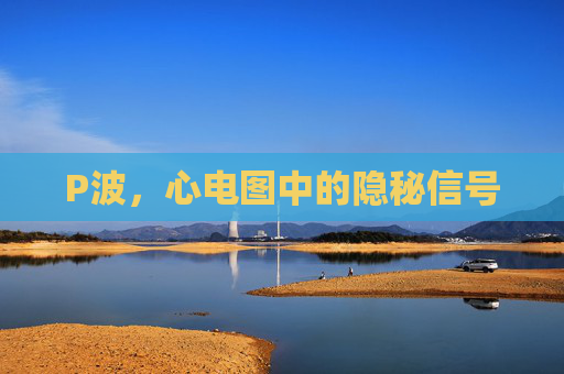 P波,心电图中的隐秘信号 P波,心电图中的隐秘信号