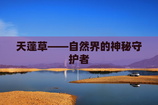 天蓬草——自然界的神秘守护者 天蓬草——自然界的神秘守护者
