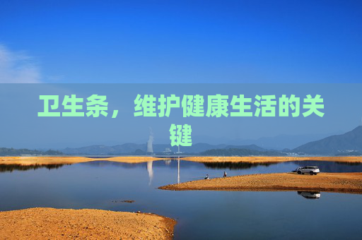 卫生条，维护健康生活的关键