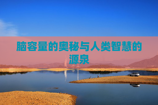 脑容量的奥秘与人类智慧的源泉