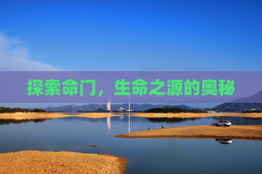 探索命门,生命之源的奥秘 探索命门,生命之源的奥秘