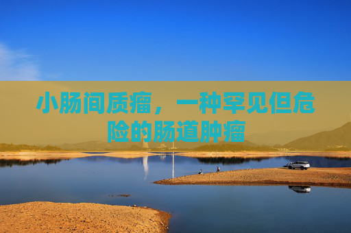 小肠间质瘤,一种罕见但危险的肠道肿瘤 小肠间质瘤,一种罕见但危险的肠道肿瘤