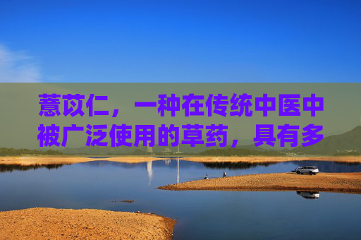 薏苡仁，一种在传统中医中被广泛使用的草药，具有多种健康益处。它不仅是一种美味的食材，更是一种珍贵的药材，被用于治疗多种疾病和促进健康。接下来，我们将探讨薏苡仁的功效及其在现代医学中的应用