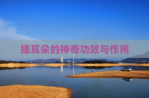 搓耳朵的神奇功效与作用