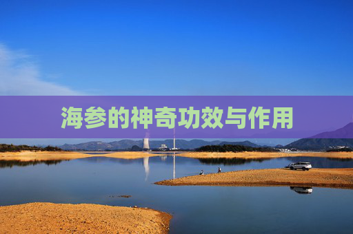 海参的神奇功效与作用