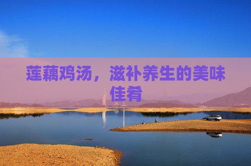 莲藕鸡汤，滋补养生的美味佳肴