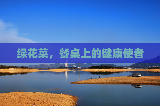 绿花菜,餐桌上的健康使者 绿花菜,餐桌上的健康使者