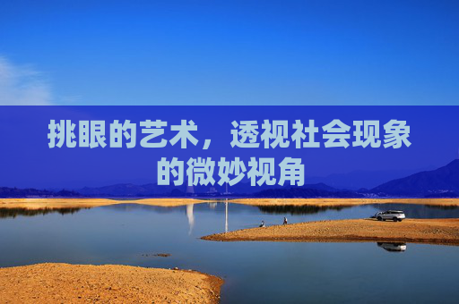 挑眼的艺术，透视社会现象的微妙视角