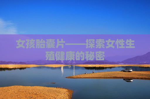 女孩胎囊片——探索女性生殖健康的秘密 女孩胎囊片——探索女性生殖健康的秘密