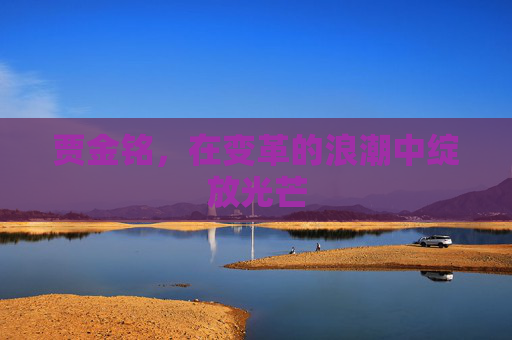 贾金铭，在变革的浪潮中绽放光芒