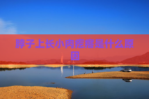 脖子上长小肉疙瘩是什么原因