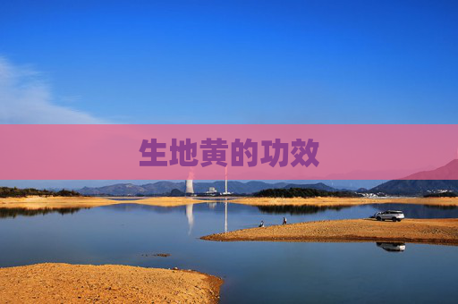 生地黄的功效 生地黄的功效