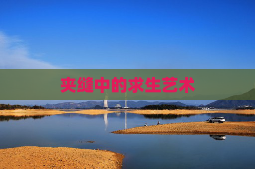 夹缝中的求生艺术