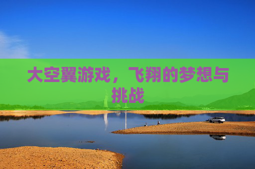 大空翼游戏，飞翔的梦想与挑战