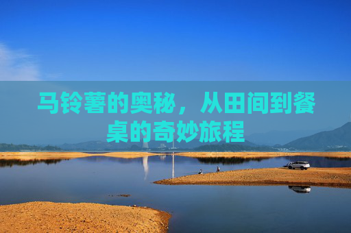 马铃薯的奥秘，从田间到餐桌的奇妙旅程