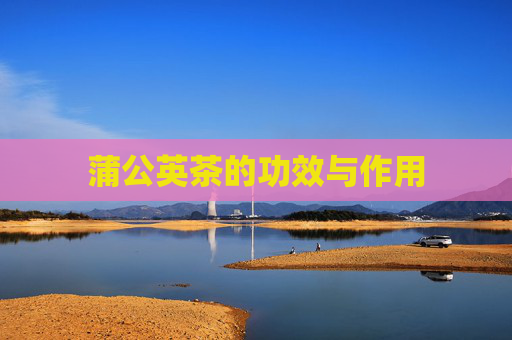 蒲公英茶的功效与作用