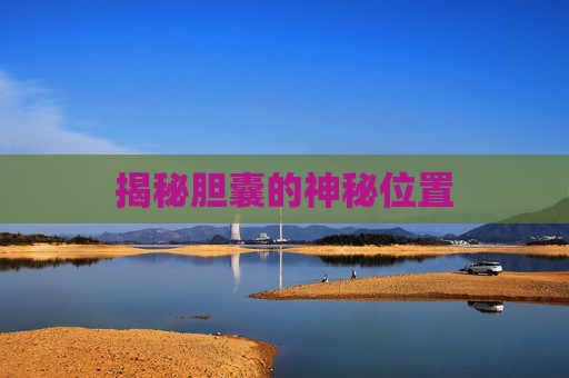 揭秘胆囊的神秘位置 揭秘胆囊的神秘位置