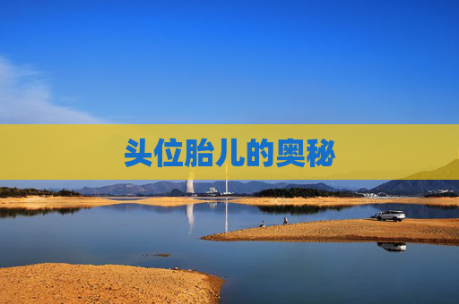 头位胎儿的奥秘