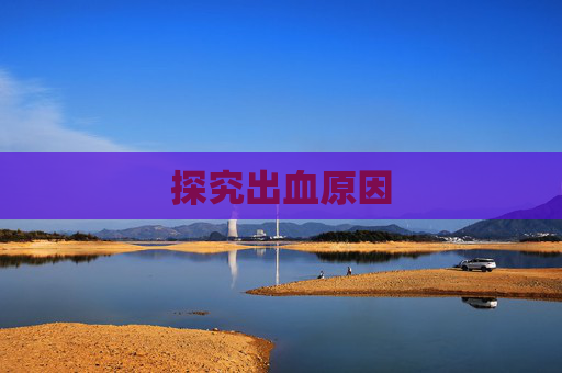探究出血原因