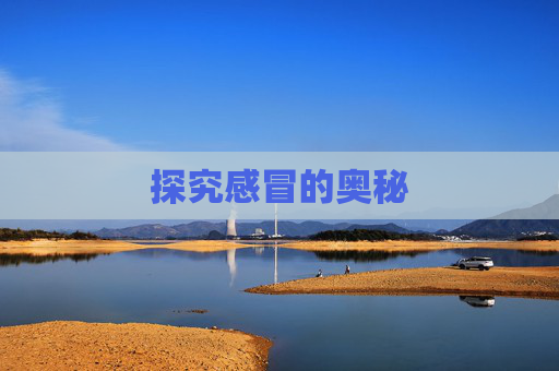 探究感冒的奥秘